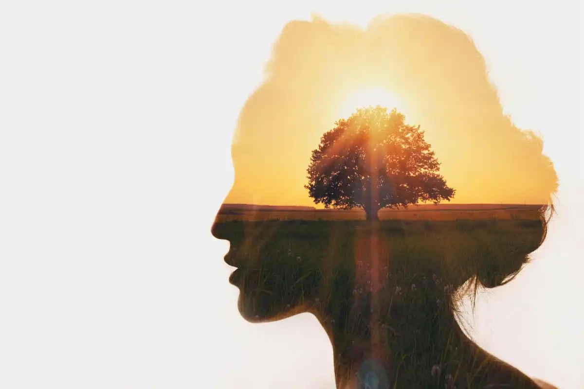 como bajar el azucar